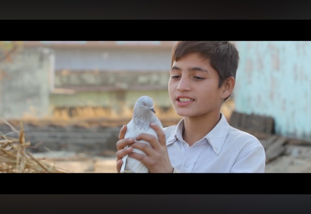 Award winning Short Film – Billu’s Flight
